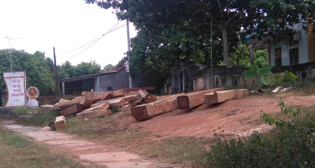 Gỗ rừng do lực lượng Trạm Kiểm lâm Bến Quan, Hạt Kiểm lâm Vĩnh Linh thu giữ đưa về tập kết tại Trạm Kiểm lâm