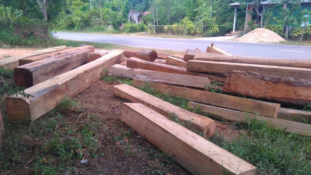 Rừng tự nhiên đầu nguồn Vĩnh Ô đang bị chặt phá - 2