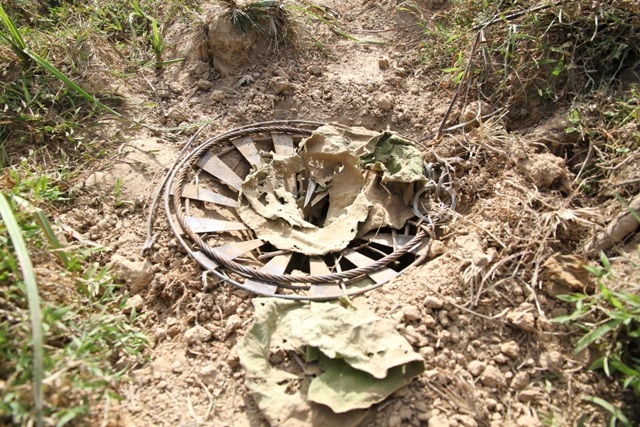 Một chiếc bẫy được nhóm thợ săn thiết kế để bắt trâu