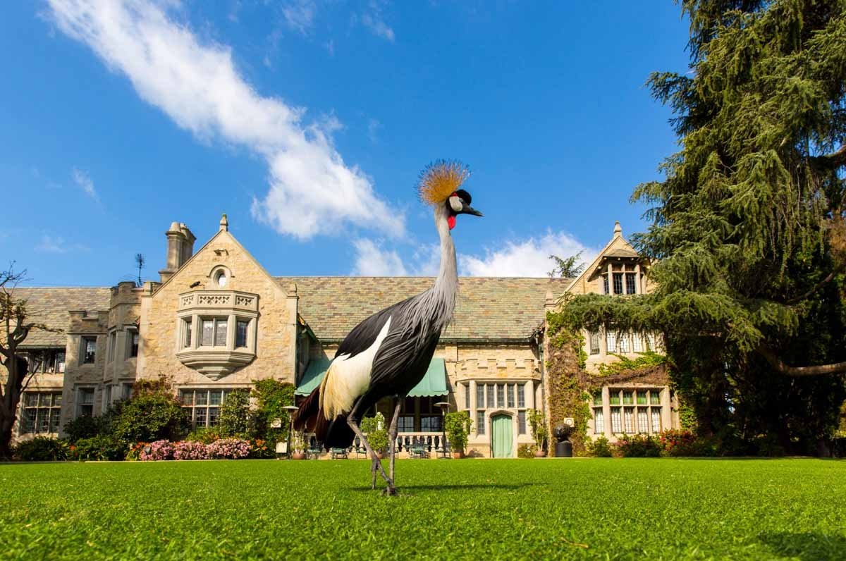 Ông chủ tạp chí Playboy bán biệt thự trị giá 200 triệu USD cho hàng xóm - 1
Biệt thự Playboy Mansion có tổng diện tích 20.000 feet vuông, tương đương 1858 mét vuông, nằm cạnh câu lạc bộ nổi tiếng Los Angeles Country Club, và giữa 2 thành phố Beverly Hills and Westwood