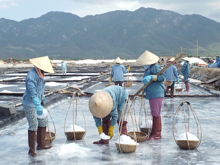 Diêm dân Khánh Hòa lao động vất vả trên cánh đồng muối Hòn Khói (Ảnh: Viết Hảo)