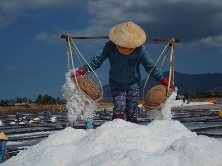 Các chuyên giá cho rằng, cần áp dụng tiến bộ kỹ thuật để giải phóng sức lao động cơ bắp của diêm dân (Ảnh: Viết Hảo)