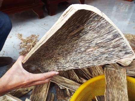 
Nếu như trước đây, bất kỳ ai muốn có trầm hương bắt buộc phải băng rừng, lội suối vào “thánh địa” của cây dó bầu để tìm kiếm thì khoảng một thập niên trở lại đây, dân “xứ trầm” ở Khánh Hòa, bằng một cách khác là thực hiện việc trồng cây dó bầu và tự “cấy” trầm nhân tạo. Đây được gọi là trầm sánh bì, do con người tạo ra từ lớp vỏ của cây dó bầu, loài cây duy nhất cho trầm.
