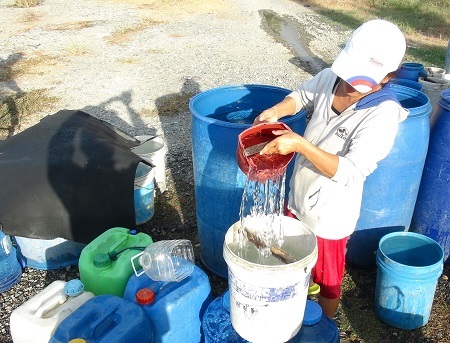 Điều xe cấp nước "giải hạn" cho dân - 2
Người dân ở ngoại ô TP Nha Trang cho biết, dù có mưa nhưng chưa đủ ướt áo nên chuyện thiếu nước vẫn đang là vấn đề nan giải.