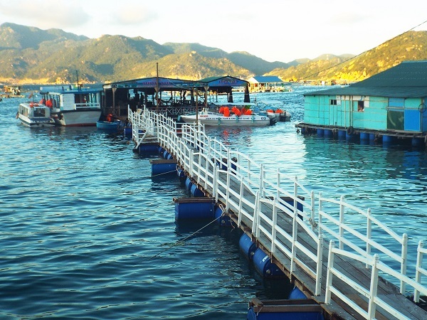 TP Cam Ranh chỉ đạo dừng các nhà hàng nổi sau vụ lật bè ở Ninh Thuận - Ảnh: Viết Hảo