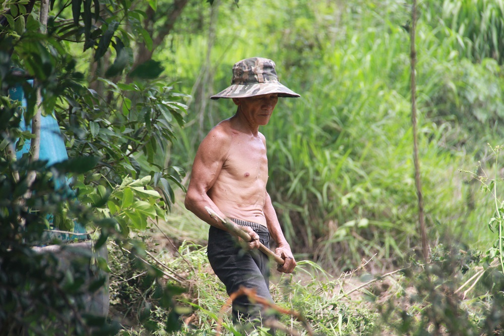 
Thông tin có gấu rừng xuất hiện khiến người dân làm rẫy ở khu vực Lỗ Buông (xã Vĩnh Phương, TP Nha Trang) hoang mang.
