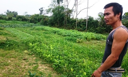 Anh Thêm đang nhân giống bưởi tiến vua