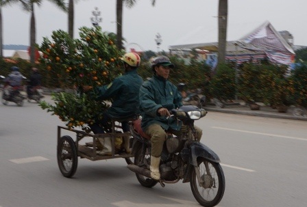 Chiếc xe lôi tự chế có thể chở được cả cây cảnh và người ngồi sau rất thuận tiện. Người ngồi sau có nhiệm vụ giữ cây thăng bằng, không bị lật