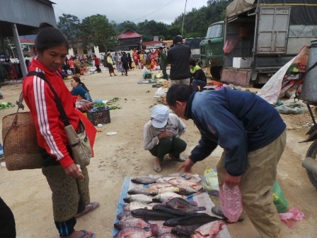 Hàng hóa tại phiên chợ Na Mèo chủ yếu là những sản vật địa phương