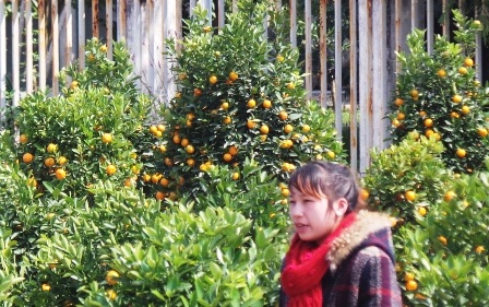 
Buổi chiều cuối năm nên nhiều người bán hàng tỏ ra lo lắng
