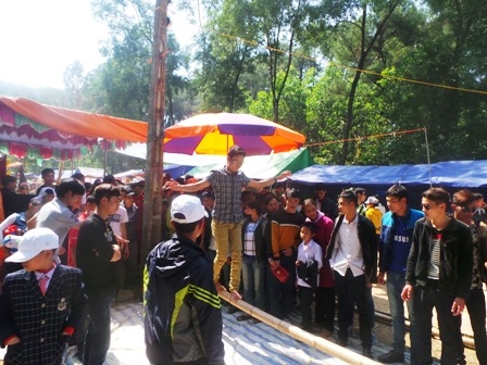 Trò chơi đi thăng bằng trên cây thu hút người xem