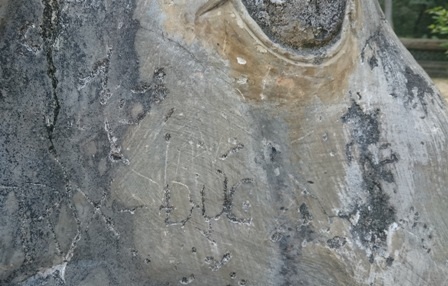 Tượng voi trong lăng vua Lê Thái Tổ bị viết, vẽ bậy - 10