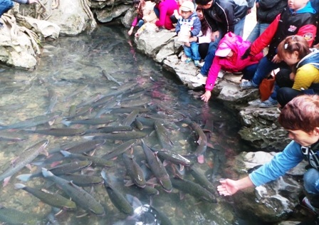 Suối cá thần "hút khách" ngày đầu năm - 10