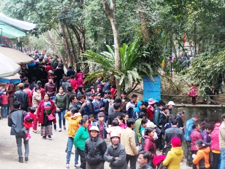 Suối cá thần "hút khách" ngày đầu năm - 13