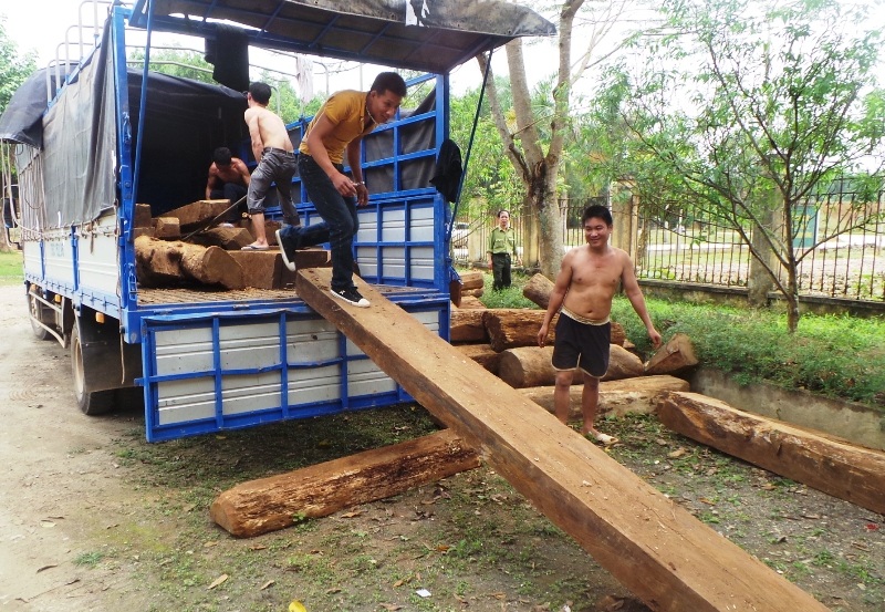 Chiếc xe chở gỗ này đã lọt qua nhiều trạm kiểm tra lâm sản trên đường