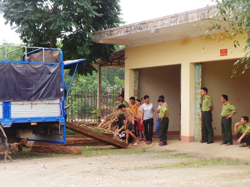 Lực lượng kiểm lâm kiểm tra xe gỗ