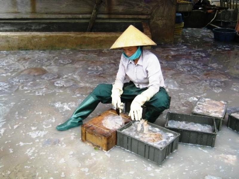 Nước mắt lao động "chui": Sống khó ở, chết khó về - 3 Chị N.T.V, xã Hoằng Trường, huyện Hoằng Hóa - người từng bị lừa bán san Trung Quốc làm vợ