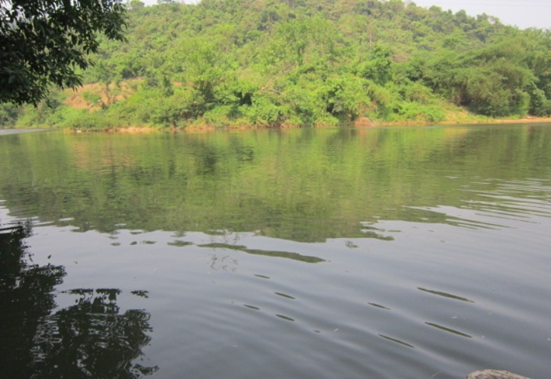 Sông Bưởi đoạn chạy qua địa bàn xã Thạch Lâm, huyện Thạch Thành đổi màu xanh đục, bốc mùi hôi thối 