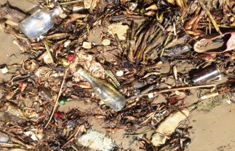 Trong đó có cả chai lọ thủy tinh, mảnh sành rất nguy hiểm cho du khách tắm biển