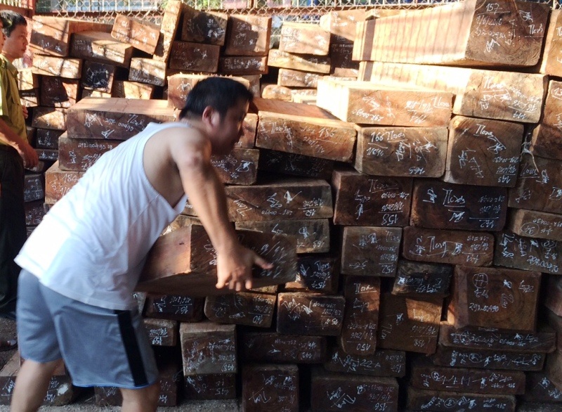 Qua kiểm tra có gần 200 thanh tấm gỗ