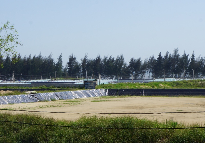 Dự án nuôi tôm trên địa bàn xã Quảng Thái, huyện Quảng Xương