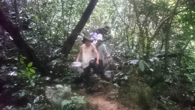 
Trời mưa tầm tã khiến việc tìm kiếm gặp nhiều khó khăn.
