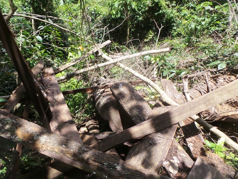 "Chảy máu" rừng đặc dụng trong khu bảo tồn thiên nhiên - 12