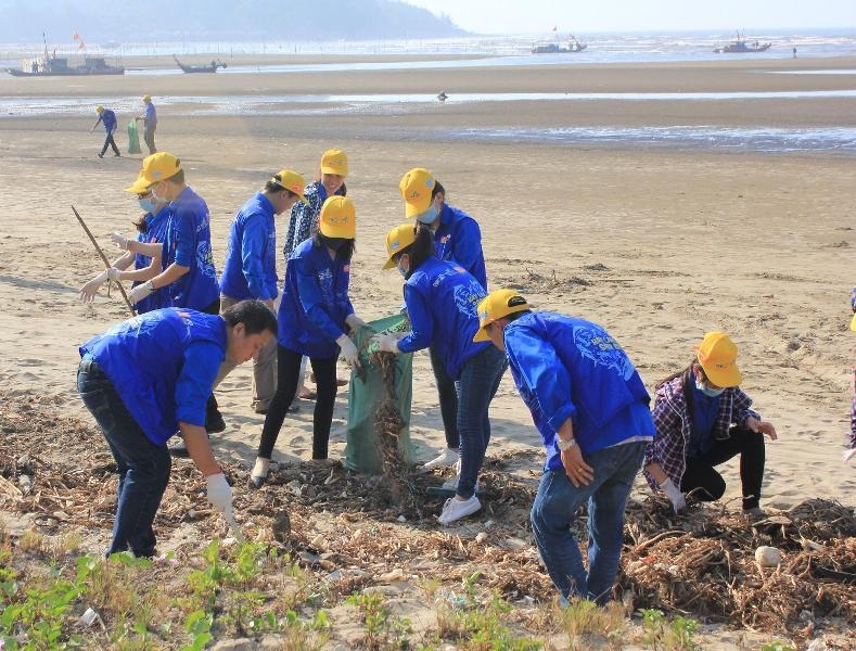 Các tình nguyện viên tham gia chiến dịch