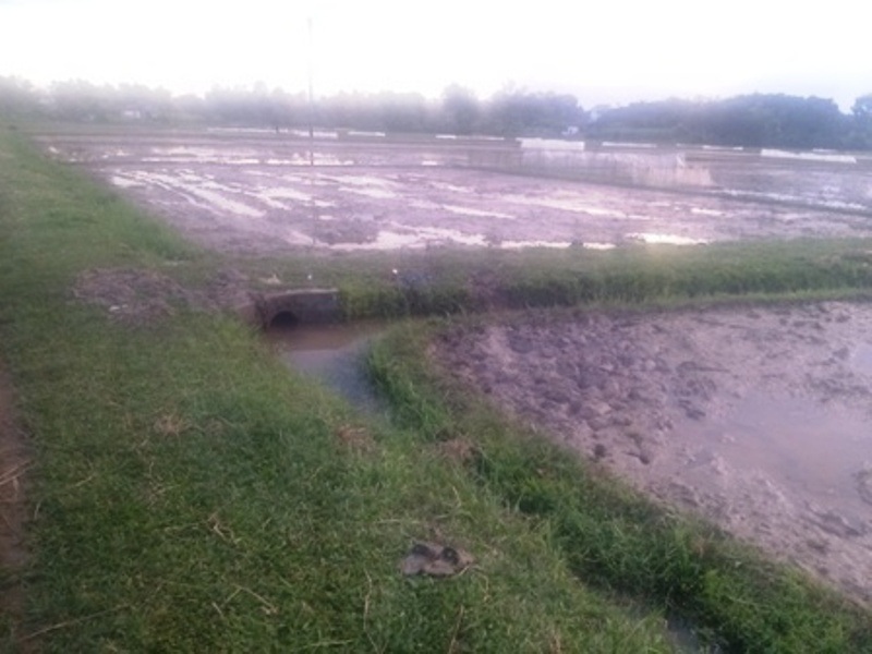 Người dân cần cảnh giác mỗi khi đi làm đồng gặp trời mưa to, kèm sấm chớp