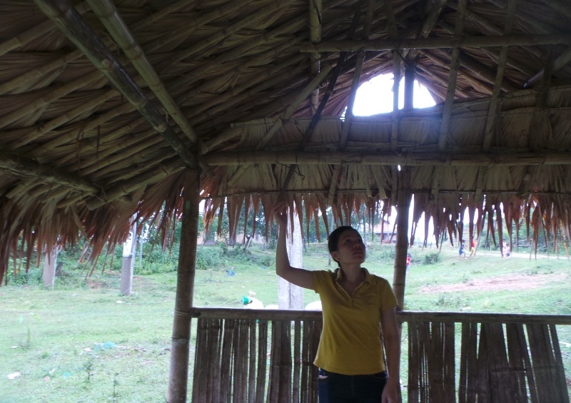 Chòi lá đã quá tồi tàn không thể học được nữa