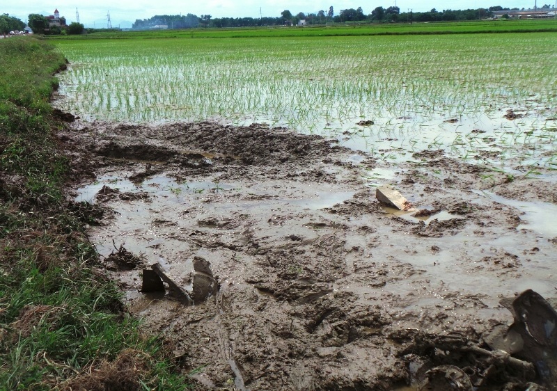 Xe du lịch lộn nhiều vòng trước khi nằm im dưới ruộng