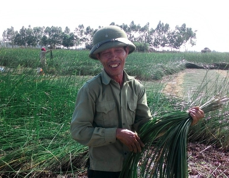 Nắng như "đổ lửa", nông dân ra đồng từ 2 giờ sáng - 12
Dưới cái nắng oi ả, bác Lê văn Quân nở nụ cười hạch phúc trước những thành quả của gia đình.