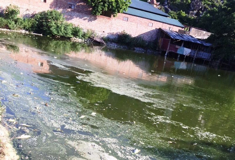 ....Ảnh hưởng đến cuộc sống của hàng chục hộ dân xung quanh