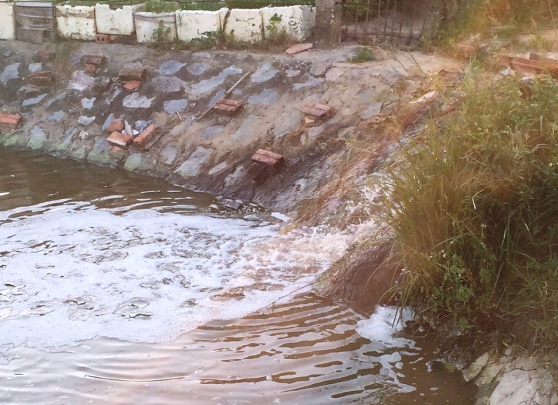 Hàng ngày, hồ chứa một lượng lớn nước thải