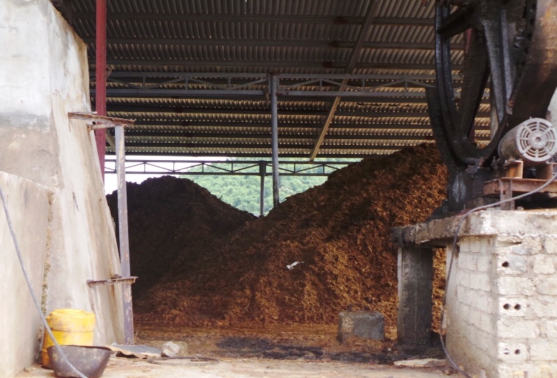 Vụ cá chết trên sông ở Thanh Hóa: Do nước thải của cơ sở bột giấy - 3 HTX chế biến lâm sản Lang Chánh chuyên sản xuất bột giấy và vàng mã