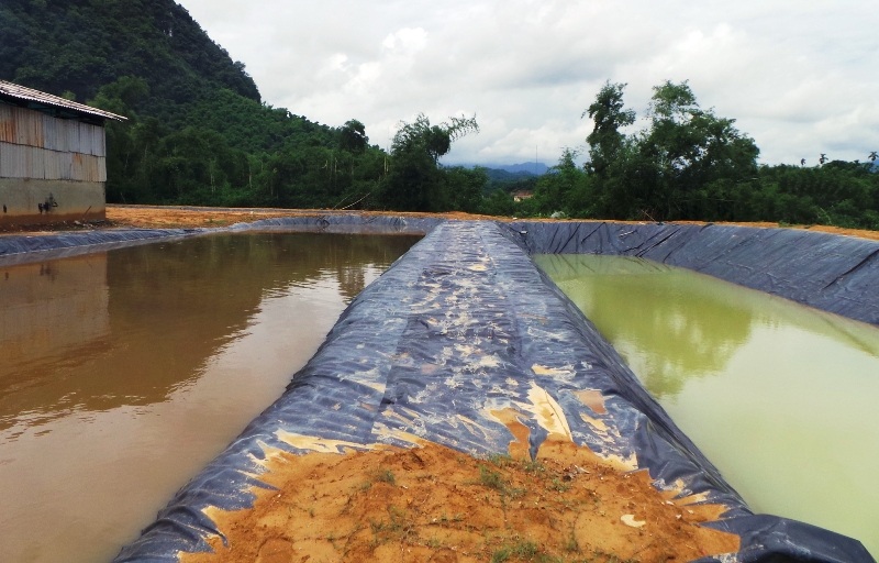Vụ cá chết trên sông ở Thanh Hóa: Do nước thải của cơ sở bột giấy - 2 Hệ thống xử lý nước thải của HTX chế biến lâm sản Lang Chánh