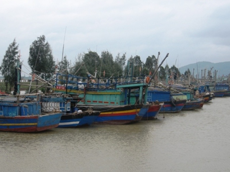 Kiên quyết không cho tàu thuyền ra biển hoạt động