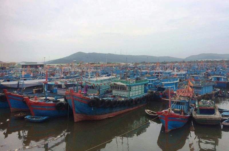 Dân đổ ra biển lấy cát làm "vũ khí" chống bão - 10 100% tàu thuyền của ngư dân Thanh Hóa đã vào nơi tránh trú bão