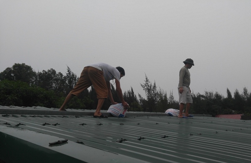 Dân đổ ra biển lấy cát làm "vũ khí" chống bão - 4 Chằng chống nhà cửa