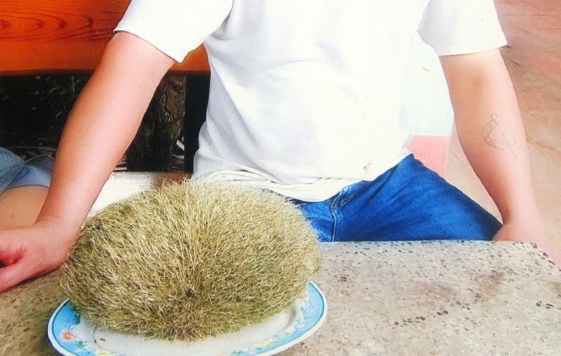 Vật thể lạ này có trọng lượng khoảng 2kg, màu vàng...