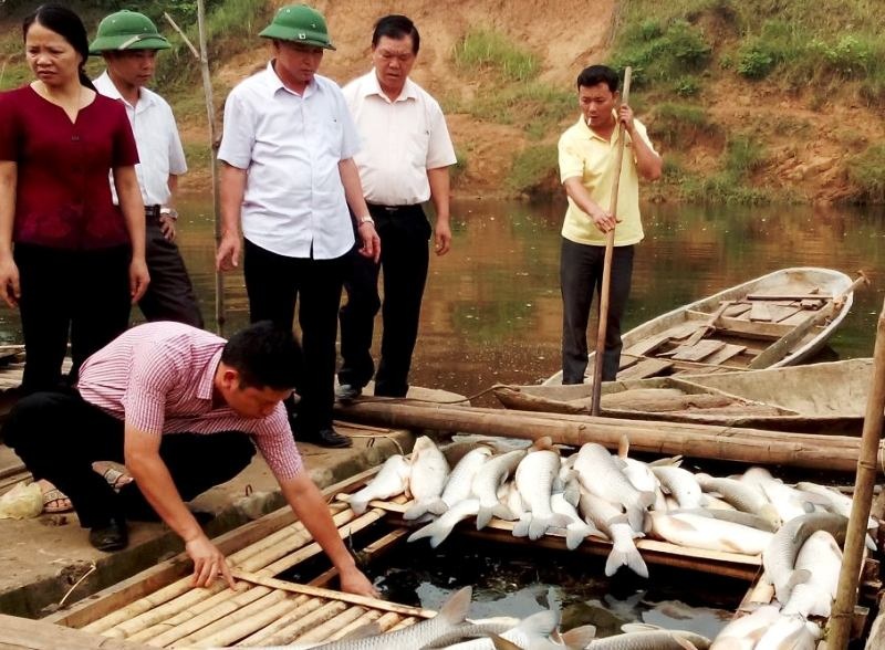 Thanh Hóa không tổ chức chúc mừng các cơ quan nhà nước dịp Quốc khánh - 1
Chủ tịch tỉnh Thanh Hóa chỉ đạo dành thời gian thăm hỏi, động viên các gia đình chính sách, người có công, người có hoàn cảnh khó khăn và tập trung chỉ đạo, điều hành, thực hiện nhiệm vụ phát triển kinh tế - xã hội...