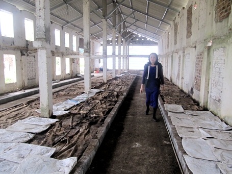 Bà Lê Ngọc Hoan - Chủ tịch Hội đồng Quản trị Công ty NPH giới thiệu về trại trùn quế.