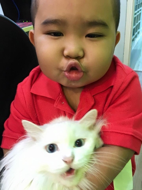 Những tài năng Việt nhí “đốn” tim khán giả - 3 Những tài năng Việt nhí “đốn” tim khán giả - 3