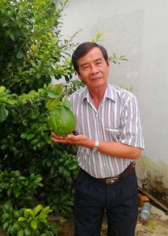 1,3 triệu đồng/trái bưởi bản đồ Việt Nam trưng Tết - 3 Năm nay, ông Thành và các thành viên trong CLB sẽ nặn ra 600 trái bưởi nổi hình bản đồ Việt Nam với hai quần đảo Hoàng Sa và Trường Sa của Việt Nam.