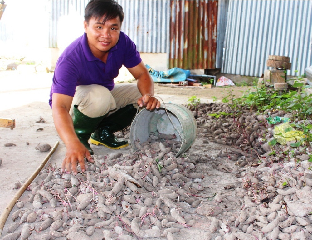 Cử nhân về quê nuôi heo rừng thu nhập 50 triệu đồng/tháng - 4 Theo anh Dinh chia sẻ, một trong những bí quyết thành công ban đầu của anh chính là sự kiên định trong công việc và đôi lúc phải biết chấp nhận thất bại.