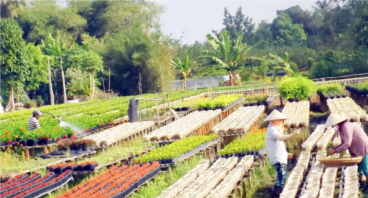 Mỗi người mỗi việc, ai nấy như đang chạy đua với thời gian