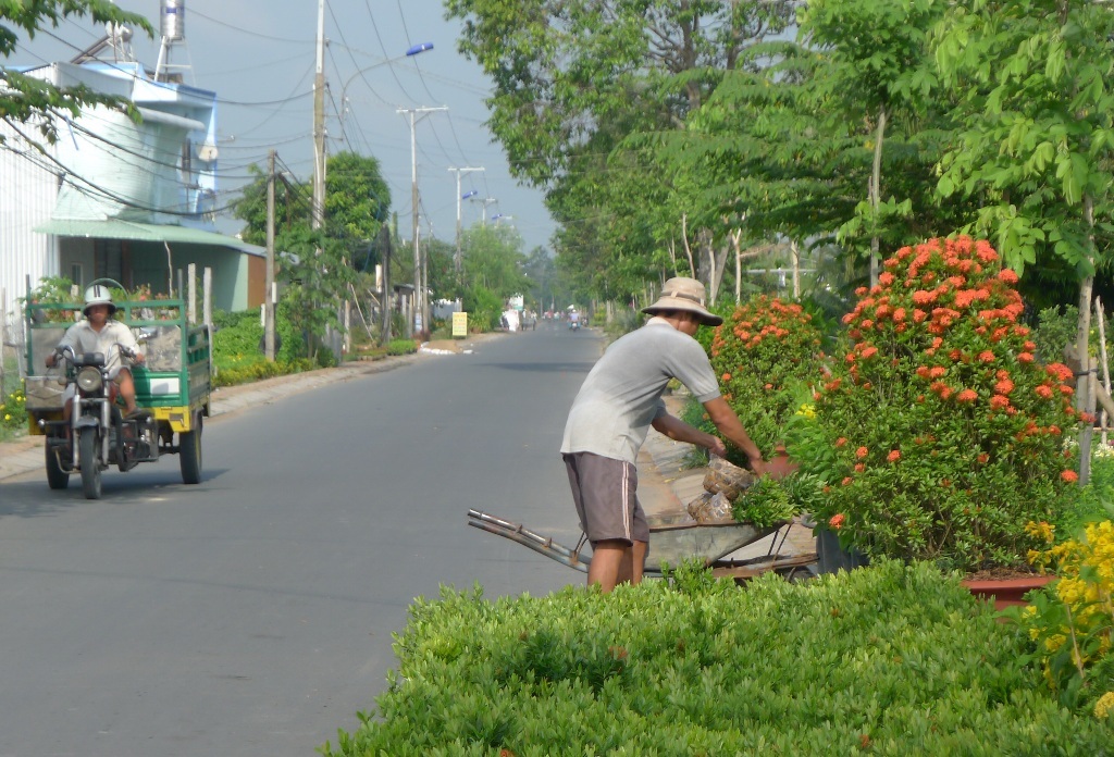 Hoa, kiểng tràn xuống cả đường...