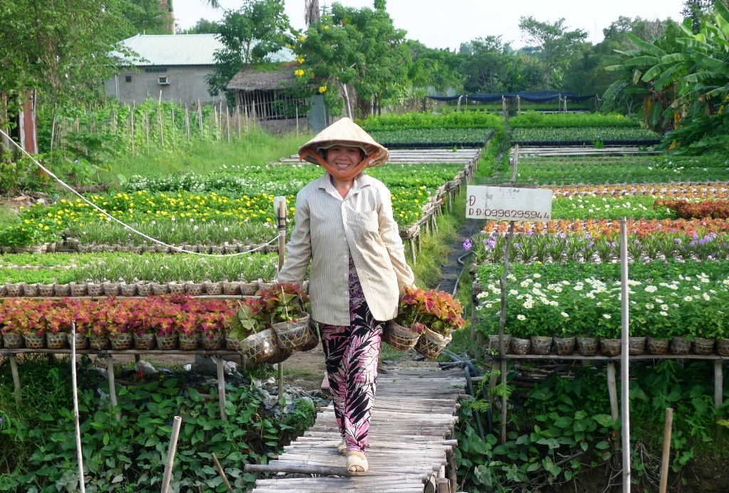 Do giá hoa năm nay tăng hơn mọi năm nên đối với bà con trồng hoa ở Làng hoa Sa Đéc gương mặt của họ lúc này cũng tươi như hoa