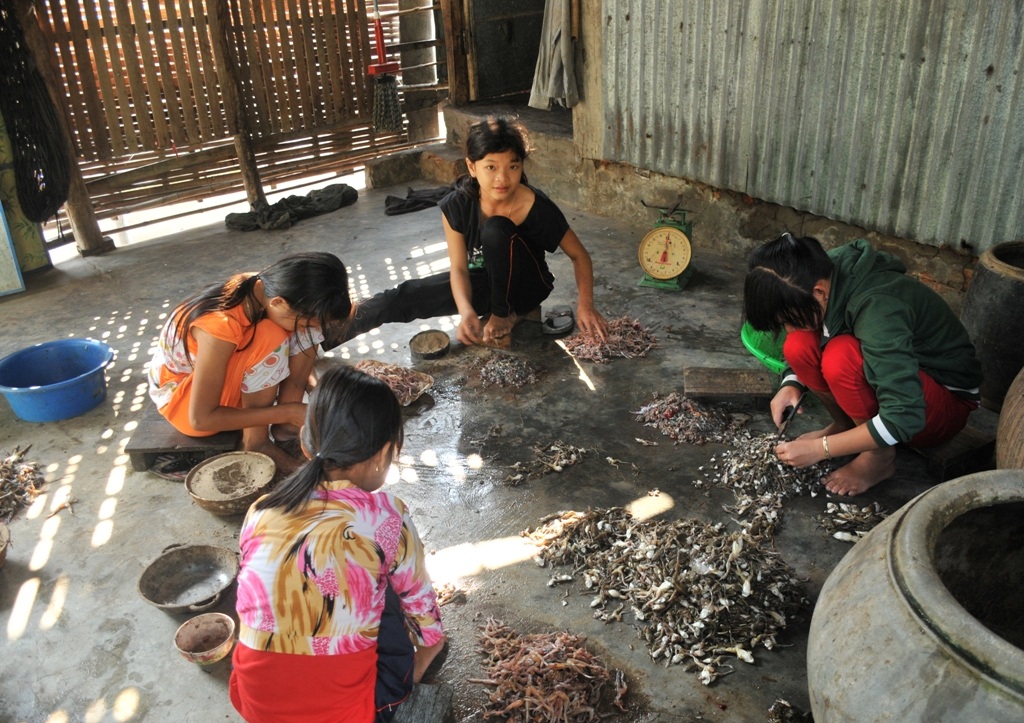 Vào lò sản xuất khô “vũ nữ chân dài” lớn nhất miền Tây - 3 Công việc nhẹ nhàng này thu hút nhiều em nhỏ trong xóm đến làm việc