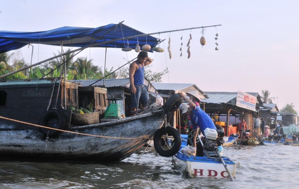 Äá»c ÄÃ¡o chá»£ ná»i vÃ¹ng Miá»t Thá»© VÄ©nh Thuáº­n - 12